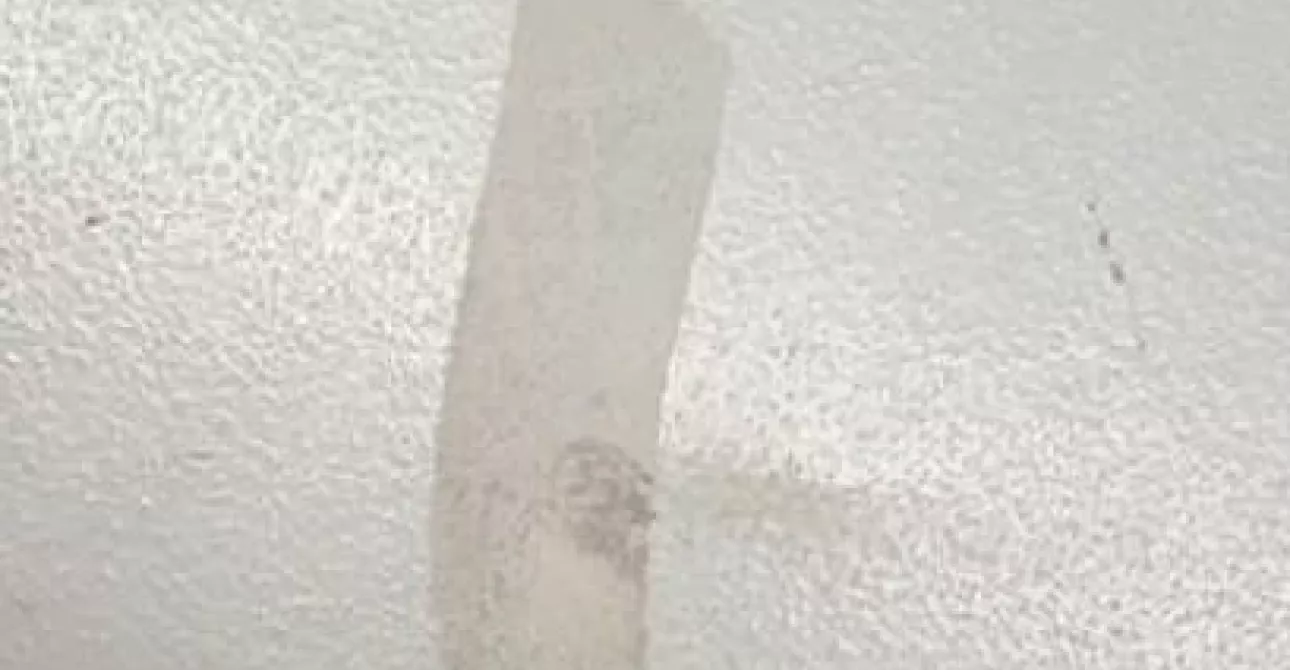 sol