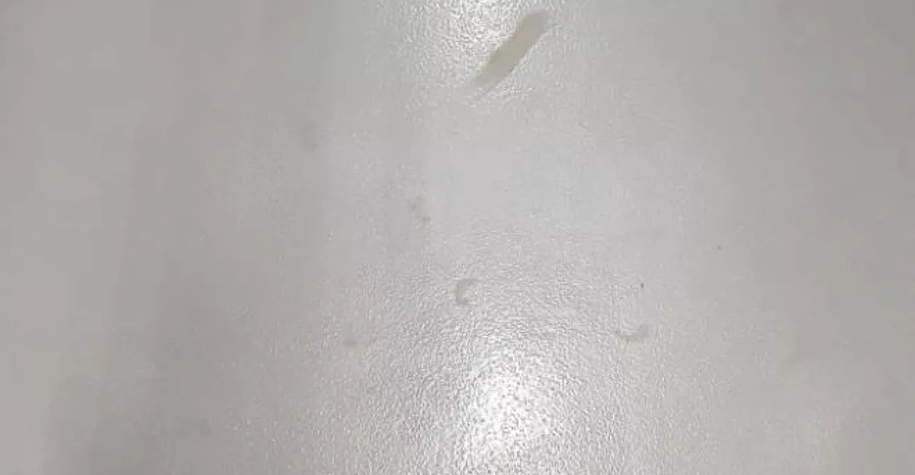 sol