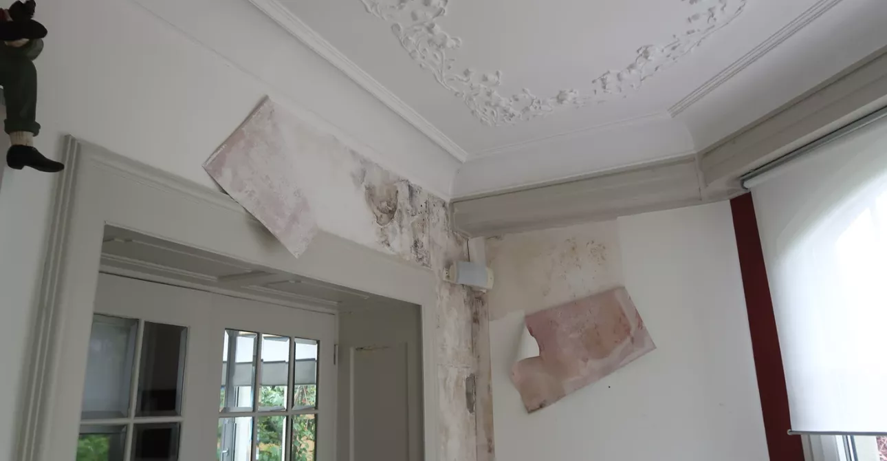 plafond