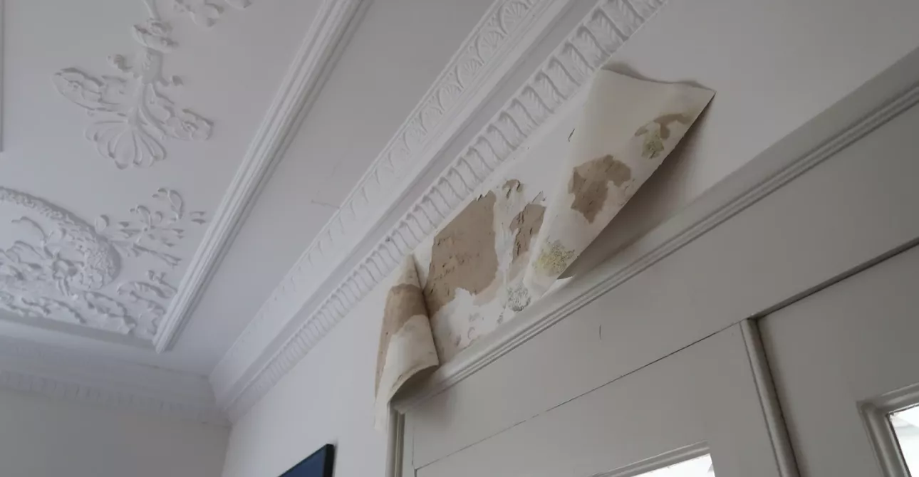 plafond