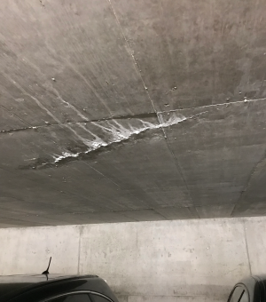fissure