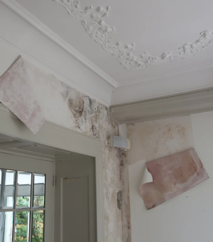 plafond